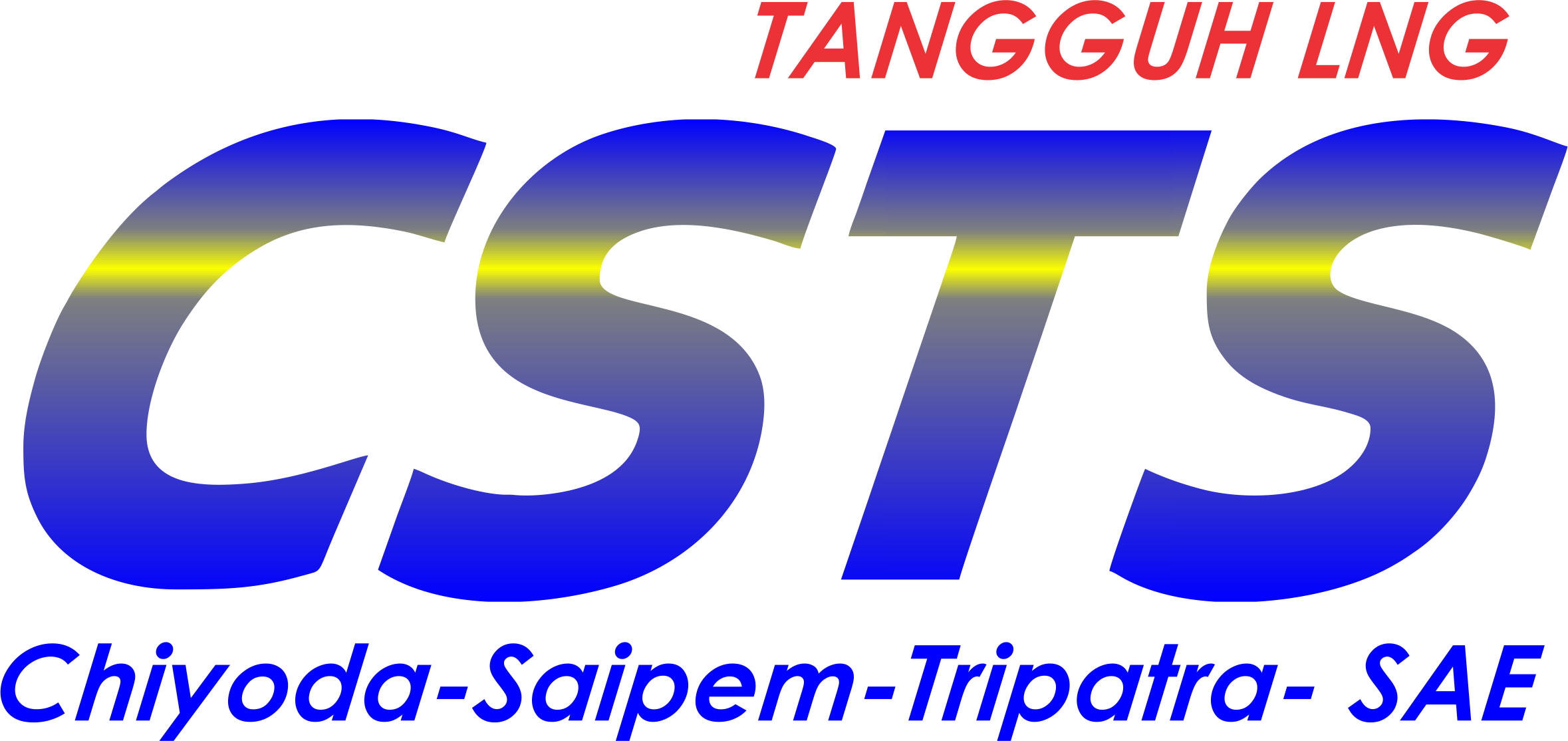 LOGO CSTS